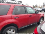 Ford Escape Xlt 1FMCU0D72AKB26080 fotografie