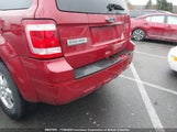 Ford Escape Xlt 1FMCU0D72AKB26080 fotografie
