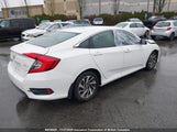 Honda Civic 2HGFC2F85HH007061 снимка
