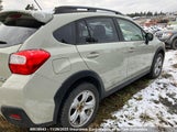 Subaru Xv Crosstrek 2.0 Premium JF2GPAVC0E8209445 photo