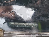 Hyundai Sonata Gls 5NPEB4AC2BH043437 снимка