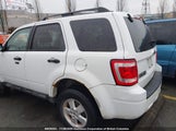 Ford Escape Xlt 1FMCU9DG3BKA23336 снимка