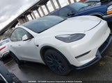 Tesla Model Y Long Range 7SAYGAEE0PF664855 fotografie