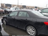 Toyota Corolla S/Le/Xle 2T1BU4EE3AC364168 снимка