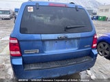 Ford Escape Xlt 1FMCU93G49KD09627 снимка