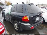 Hyundai Santa Fe KM8SB13D04U595188 снимка