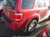 Ford Escape Xlt 1FMCU9D78BKB16756 fotografie
