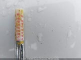 Volkswagen Jetta Sel 3VWLX7AJ4BM002954 снимка