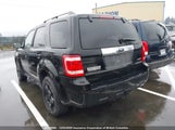 Ford Escape Xlt 1FMCU9DG7CKA31554 fotografie