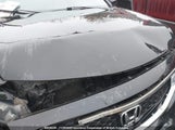 Honda Accord Exl 1HGCS12858A802759 снимка