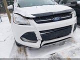 Ford Escape Se 1FMCU9G93EUB86784 снимка
