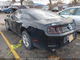 Ford Mustang 1ZVBP8AM5E5317719 снимка