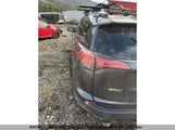 Toyota Rav4 2T3BFREVXGW430396 fotografie