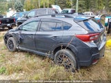 Subaru Crosstrek Premium JF2GTAFC1M9214821 снимка