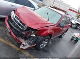 Ford Escape Xlt 1FMCU93G79KB40719 снимка