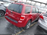 Ford Escape Xlt 1FMCU93G79KB40719 снимка