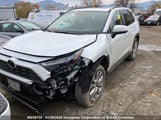 Toyota Rav4 2T3D1RFV3SW519063 fotografie