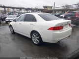 Acura Tsx JH4CL96824C804275 снимка