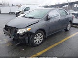 Toyota Corolla S/Le/Xle 2T1BU4EE7AC299955 снимка