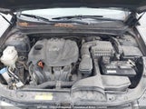 Hyundai Sonata Gls 5NPEB4AC0BH016396 снимка