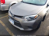 Toyota Corolla L/Le/Le Pls/Prm/S/S Pls 2T1BURHE4GC537942 photo