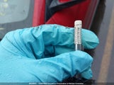 Hyundai Kona Limited KM8K33AG9MU125604 fotografie