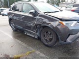 Toyota Rav4 Le 2T3BFREV5GW483572 снимка