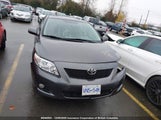 Toyota Corolla S/Le/Xle 2T1BU4EE3AC395016 снимка