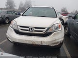 Honda Cr-V Exl 5J6RE4H76AL804699 снимка