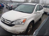 Honda Cr-V Exl 5J6RE4H76AL804699 снимка