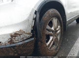 Honda Cr-V Exl 5J6RE4H76AL804699 снимка