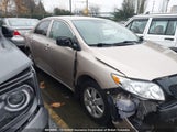 Toyota Corolla S/Le/Xle 2T1BU4EE7AC299681 снимка
