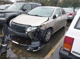 Toyota Corolla S/Le/Xle 2T1BU4EE7AC299681 снимка