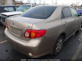 Toyota Corolla S/Le/Xle 2T1BU4EE7AC299681 снимка