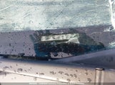 Honda Fit LHGGE887092011832 снимка