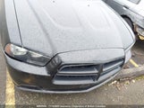 Dodge Charger Police 2C3CDXAG2DH737891 снимка