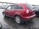 Honda Cr-V 5J6RE48718L819055 photo