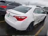 Toyota Corolla L/Le/Xle/Se/Xse 2T1BURHE2JC112730 photo