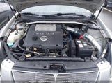 Nissan Maxima Se/Sl 1N4BA41E25C836685 fotografie