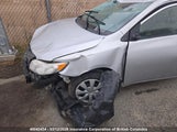 Toyota Corolla S/Le/Xle 2T1BU4EE5AC194766 снимка