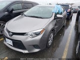 Toyota Corolla L/Le/Le Pls/Prm/S/S Pls 2T1BURHE0EC109282 fotografie