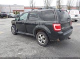 Ford Escape Xlt 1FMCU9DG9BKC44956 fotografie