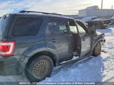 Ford Escape Xlt 1FMCU03118KE08234 снимка