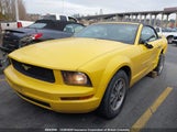 Ford Mustang 1ZVFT84N455217807 снимка