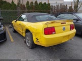 Ford Mustang 1ZVFT84N455217807 снимка