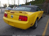 Ford Mustang 1ZVFT84N455217807 снимка