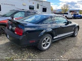 Ford Mustang 1ZVHT80N765124148 снимка