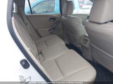 Acura Rdx Technology 5J8TB4H55EL803019 снимка