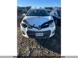 Toyota Corolla L/Le/Le Pls/Prm/S/S Pls 2T1BURHEXFC318224 photo