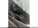 Hyundai Accent Gls/Gs KMHCT5AE5EU187341 снимка
